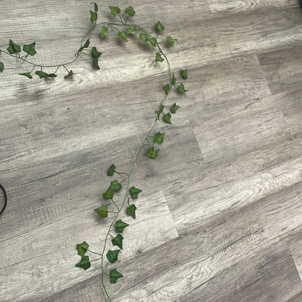 4 strands of vines for room or decor